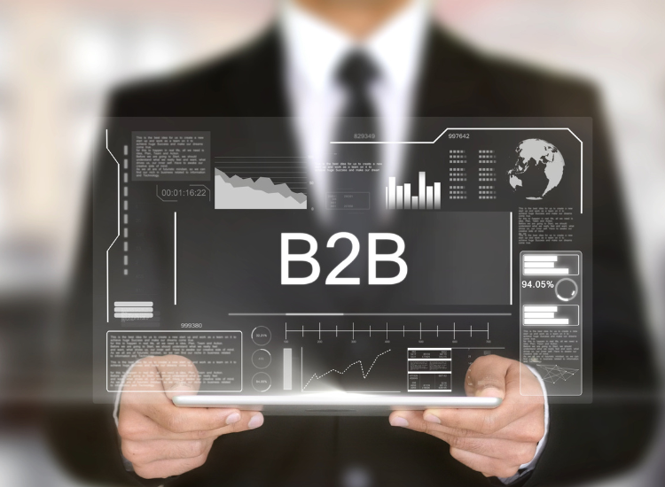 B2B - ESTRATEGIAS NO ECOMMERCE